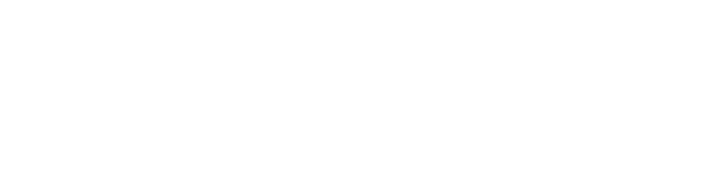NanoDefense Pro